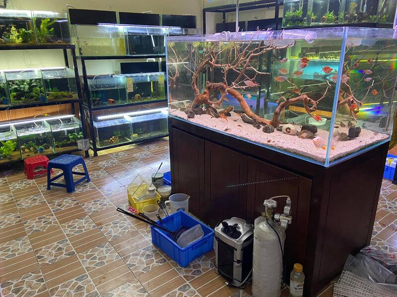 Lâm - Cửa hàng cá cảnh ở Nha Trang